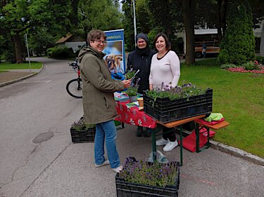 Die Stadt verschenkte bienenfreundliche Stauden (v.l.): Annette Louis, Sabine Matthies-Kellner und Monika Dufner vom Umweltamt.